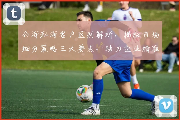 公海私海客户区别解析，揭秘市场细分策略三大要点，助力企业精准营销