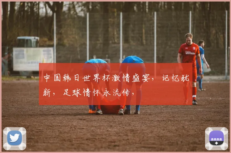 中国韩日世界杯激情盛宴，记忆犹新，足球情怀永流传，
