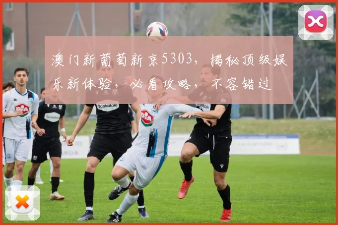 澳门新葡萄新京5303，揭秘顶级娱乐新体验，必看攻略，不容错过