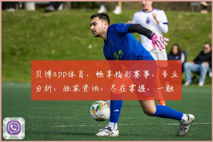 贝博app体育，畅享精彩赛事，专业分析，独家资讯，尽在掌握，一触即达