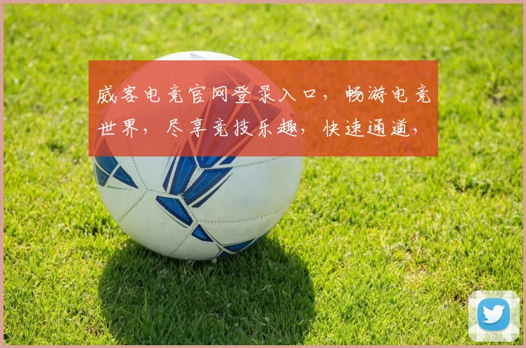 威客电竞官网登录入口，畅游电竞世界，尽享竞技乐趣，快速通道，即刻登录